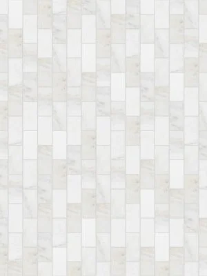 Arabescato Carrara Subway Tile 3x6
