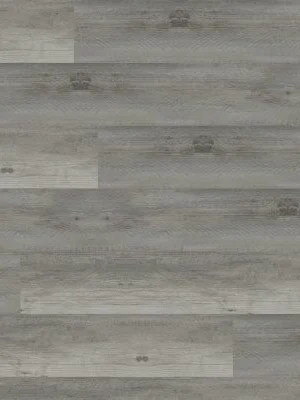 XL Cyrus Katella Ash