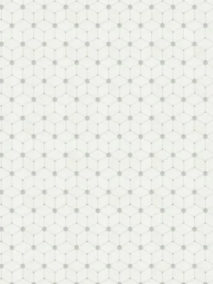 Cecily Grigio Polished