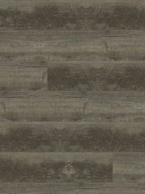 XL Cyrus Wolfeboro