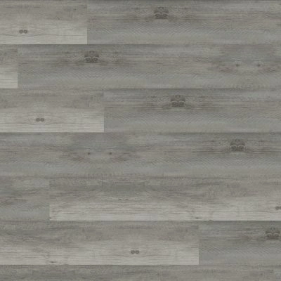 XL Prescott KATELLA ASH