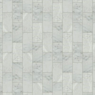 Carrara White Subway Tile 6x12