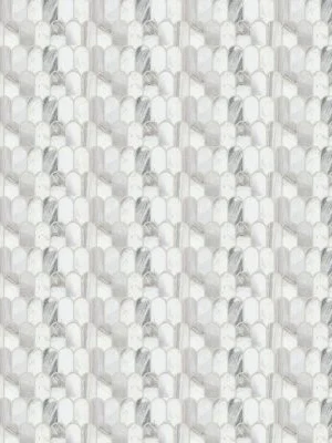 Edessa Scallop Polished