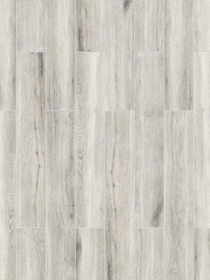 Antoni Platinum