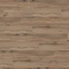 msi-floorsontheway (263) Cyrus 2.0 FAUNA