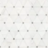 Bianco Dolomite Pinwheel Polished