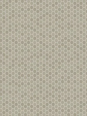 Sande Cream