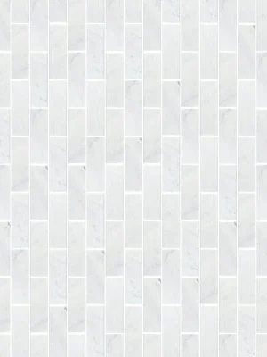 Arabescato Carrara Subway Tile 4x12