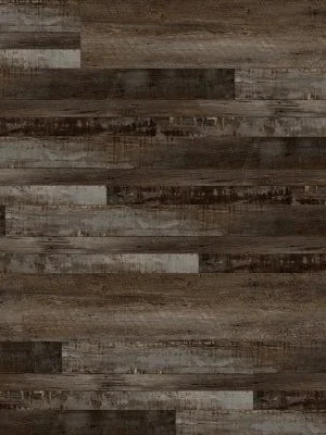 XL Cyrus Bembridge