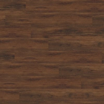 msi-floorsontheway (553) Cyrus 2.0 BRALY