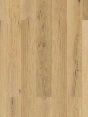 Ladson Montevideo Oak