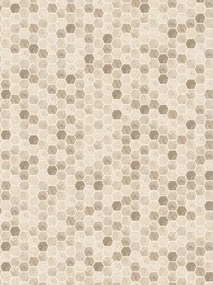 msi-floorsontheway (693) Sandhills Hexagon Mosaic Tile