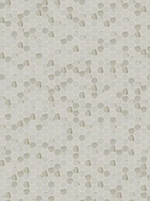 Pietra Calacatta 2” Hexagon Mosaic Tile