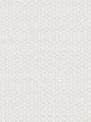 White Matte 2” Hexagon Mosaic Tile