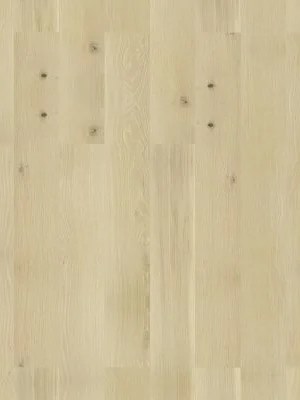 Coral Ash Wood Flooring Oak