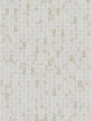 Calacatta 2x4