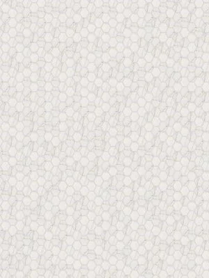 msi-floorsontheway (867) Brighton Grey