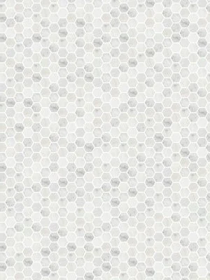 Carrara White Honed 2" Hexagon Mosaic Tile