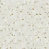 Calacatta Gold Matte Subway Tile 2x6