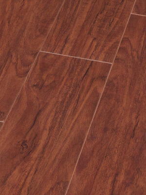 Brazilian Chestnut