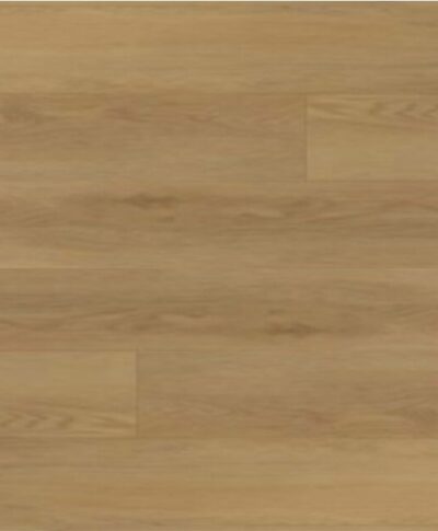 EC2404-Adagio-Feature-Image-thegem-product-catalog.jpg Adagio