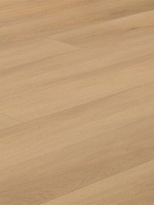 EC8261-Garibaldi-Feature-Image-2025-thegem-product-catalog.jpg Garibaldi