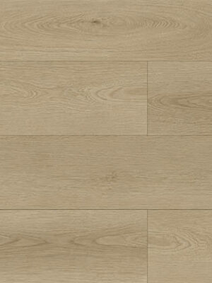 EC8271-Venus-Oak-Feature-Image-250814.jpg Venus Oak