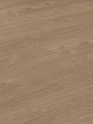 EC8300-Sonata-Feature-Image-2025-thegem-product-catalog.jpg Sonata