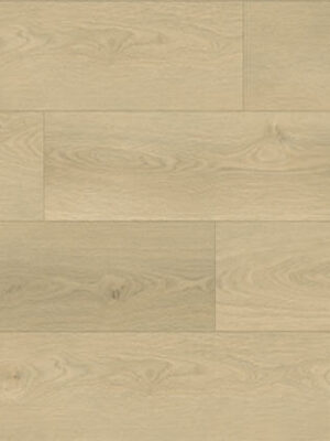 HS802-Ferrara-Oak-Feature-Image-2025.jpg Ferrara Oak