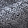 FINLEY Rug - T6046-CHL000