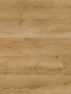Top-EC836-Norwich-Feature-Image-scaled-1-thegem-product-catalog.jpg Norwich