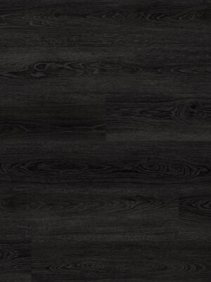 Ebony Eclipse