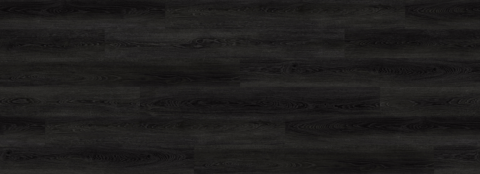 Ebony Eclipse