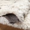 Amira - AMI-02 Ar Ivory / Bark