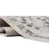 Aurora - 849 Fossil