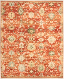 Antique Bloom Anb01 Brick Area Rug