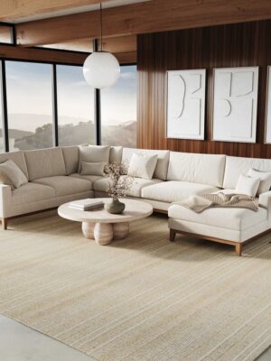 Embrace Emb01 Ivory Silver Area Rug