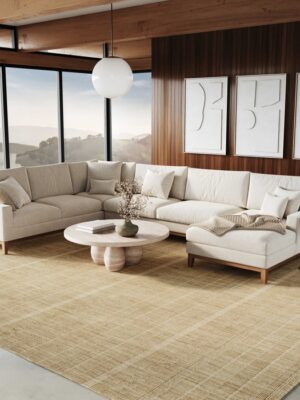 Embrace Emb01 Taupe Area Rug