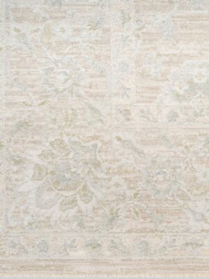 Envy Evv03 Cream Area Rug