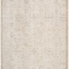 Envy Evv04 Taupe Area Rug
