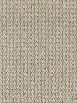 HAGM_EXPRE_8-NEX2_H5004BR1200AB_CRC.jpg Expressions Nexus 2 Nex2 Natural Broadloom