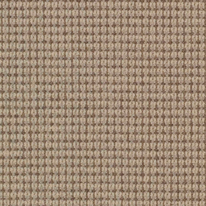 HAGM_EXPRE_8-NEX2_H5005BR1200AB_CRC.jpg Expressions Nexus 2 Nex2 Oat Broadloom