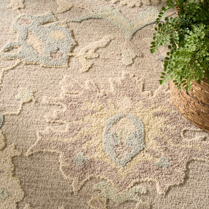 Maison Mso01 Taupe Ivory Area Rug