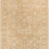 Moonlit Mli02 Taupe Area Rug