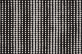 Twill Dalmatian