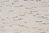 Casablanca Casa Texture Cstxt Ivory/Ebony
