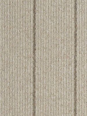 NRTX_PACFC_3-PACSTPRAIRBR1200AB_CRC.jpg Pacific Stripe Pacst Prairie