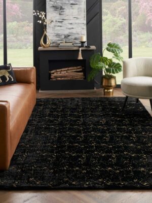 Cozy Shimmer Csh01 Black Gold Area Rug
