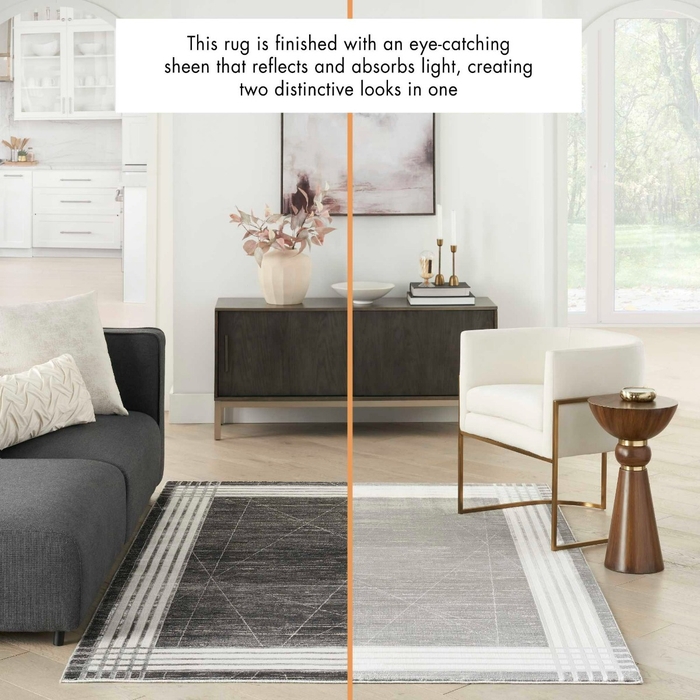 Desire Dsr01 Charcoal/Silver Area Rug