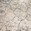 divne_div06_ivory_8x10_099446357601_main_2.jpg Divine Div06 Ivory Rug